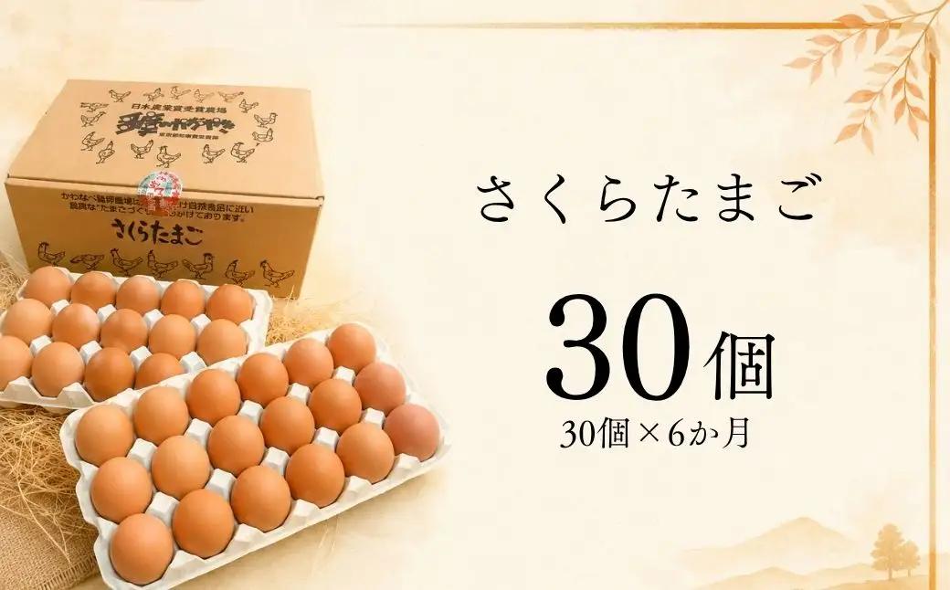 【定期便 30個×6ヶ月】かわなべ鶏卵農場のこだわりのたまご さくらたまご 青梅市