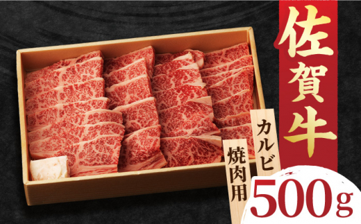 
【選べる発送月】 佐賀牛 カルビ 焼肉用 500g 吉野ヶ里町/NICK’S MEAT [FCY010]
