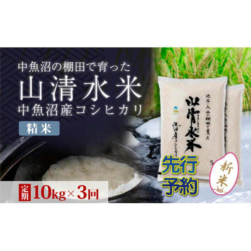 【ふるさと納税】【令和8年産 先行予約】【定期便／全3回】精米10kg 新潟県魚沼産コシヒカリ「山清水米」　お届け：2026年10月10日から、順次発送します。