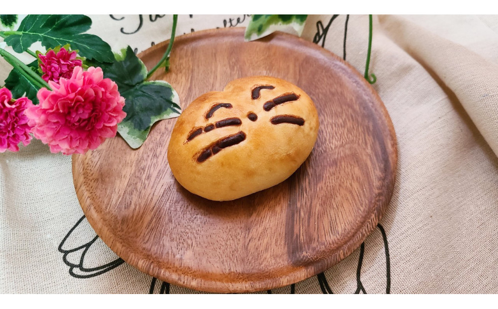 1141.【定期便6ヶ月】鳥取県産 人気キャラクターパン 自家製チョコカスタードパン ららちゃんのチョコクリーム 5個×6回 313726_BD022