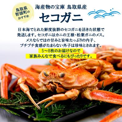 ふるさと納税 智頭町 【冬の味覚】松葉ガニのメス(セイコガニ・親がに)　活生セコガニの姿 約1kg 5〜8枚 鳥取県智頭町 |  | 02