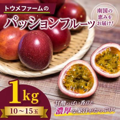 ふるさと納税 本部町 【2026年3月から順次発送】トウメファームのパッションフルーツ1kg(10〜15玉)