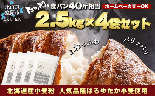 
                  北海道産 はるゆたかブレンド小麦粉 シルバーライズ（パン用強力粉） 10kg 【 ふるさと納税 人気 おすすめ ランキング 小麦 小麦粉 粉 シルバーライズ はるゆたか ブレンド パン用 強力粉 穀物 国産 北海道産 食パン パン こむぎ こむぎこ  ギフト 贈答 プレゼント 贈り物 北海道 室蘭市 送料無料 】 MROBI016
                