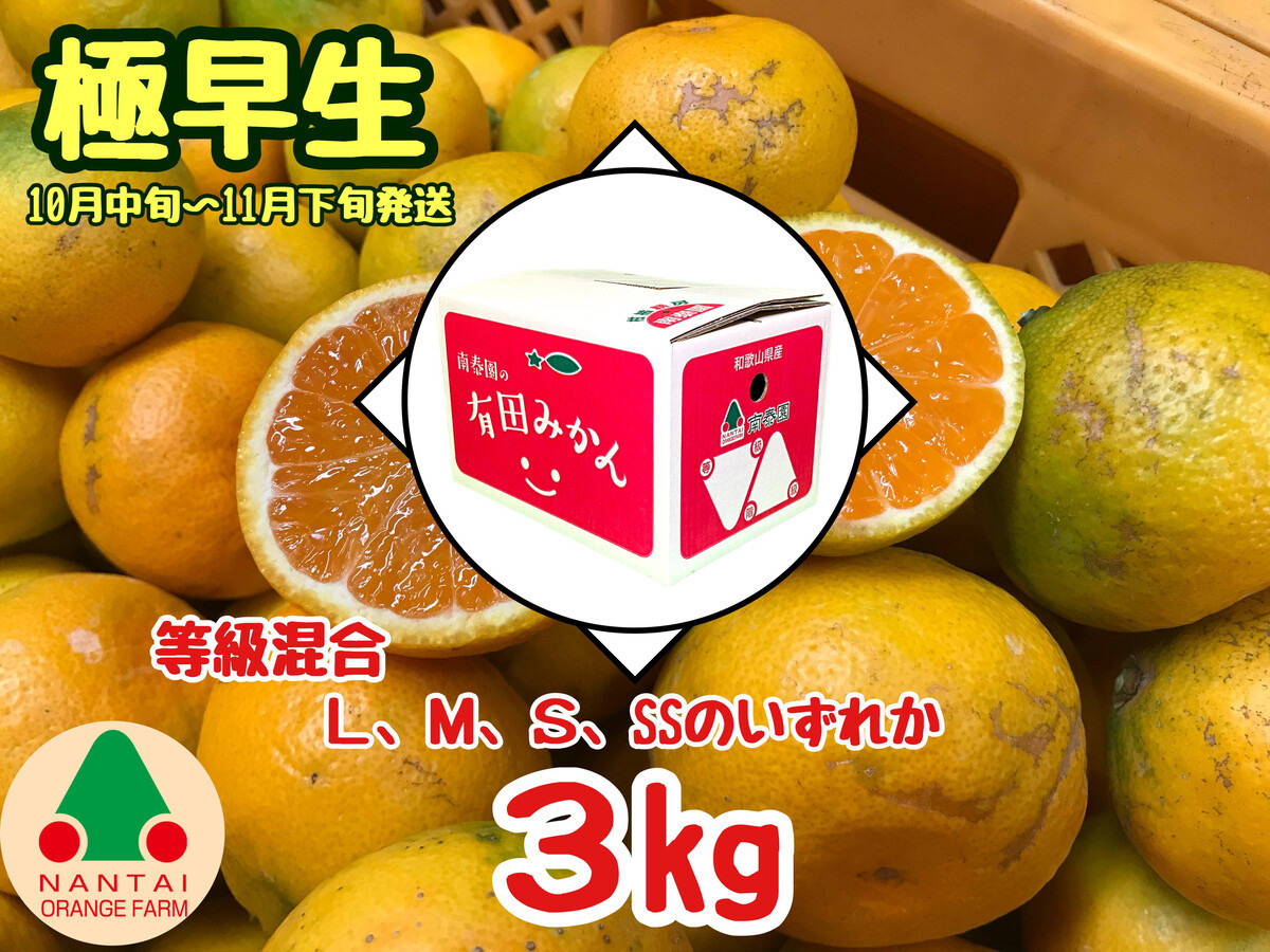 
            等級混合 極早生 有田 みかん L ～ SS サイズ 3kg 南泰園 和歌山 有田みかん
          