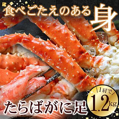 ふるさと納税 根室市 たらばがに1.2kg×1肩 F-56008 |  | 01
