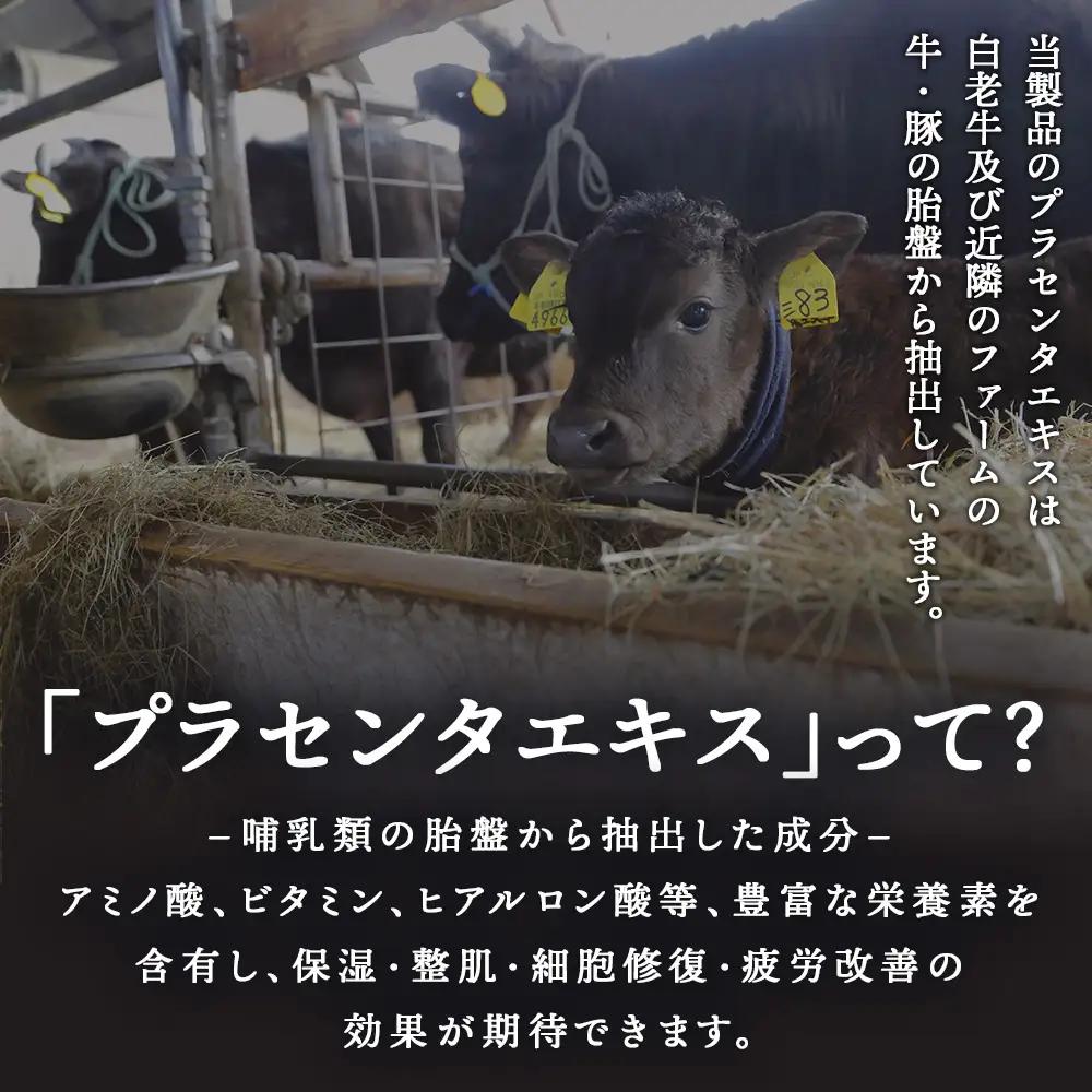 【定期便・全3回】北海道白老産 生プラセンタ美容液＆サプリメント ～アヨロのピリカ × アンケシ～ AN009