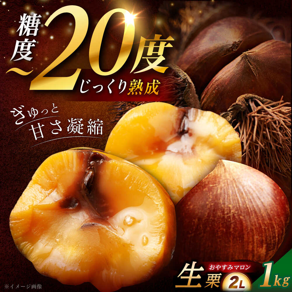【ふるさと納税】【先行予約】【2025年9月下旬〜10月上旬に順次発送】おやすみ栗（マロン）1kg（2Lサイズ） / 栗 生栗 くり マロン 低温熟成 日本栗 国産 岐阜県産 恵那市産 産地直送 お取り寄せ プレゼント /恵那市/えな笠置山栗園[AUAV004]