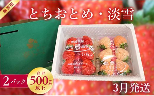 【3月発送】紅白いちご（とちおとめ＆淡雪）2パックセット