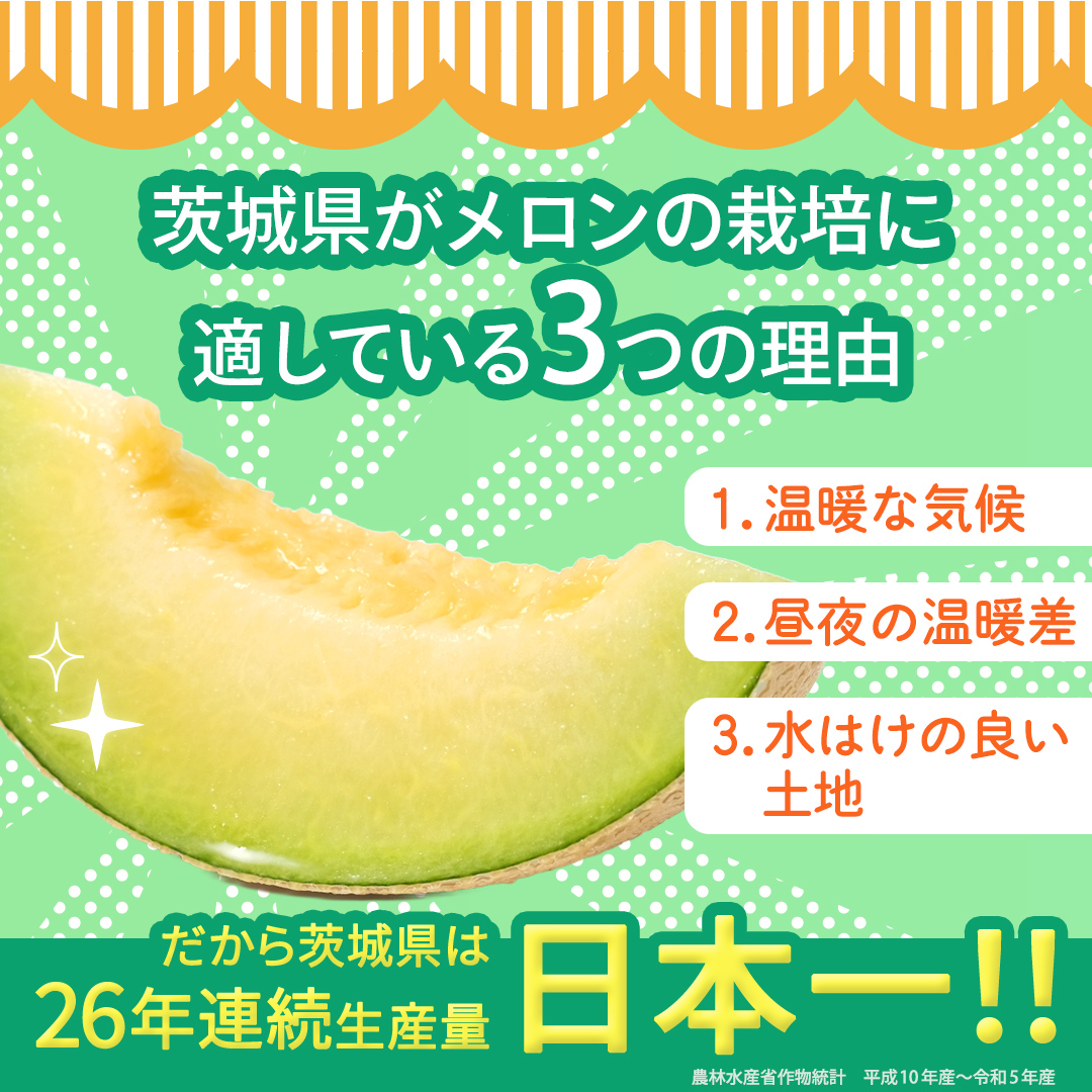 アールスメロン 2玉 メロン ギフト 高糖度 甘い 美味しい フ