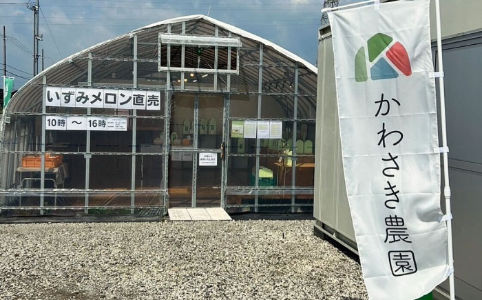 マスクメロン メロン めろん フルーツ 果物 赤肉 甘い 夏 10000円 1万円 ギフト 贈り物 プレゼント 人気 おすすめ
