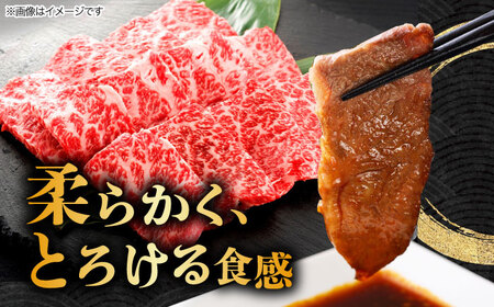 飛騨牛 焼肉用 ロース・肩ロース 1kg A4等級以上  多治見市 / 渡辺精肉店 和牛 ブランド牛 牛肉[TAZ034]