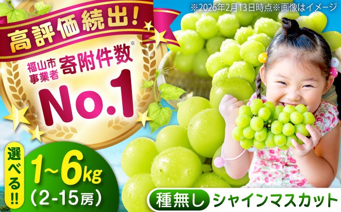 
                  シャインマスカット【選べる容量】1.0～6.0kg 《9月上旬〜9月下旬頃発送》果物 フルーツ ブドウ ぶどう シャインマスカット しゃいんますかっと 広島県福山市/沼隈グリーンセンター[BAEV005]
                