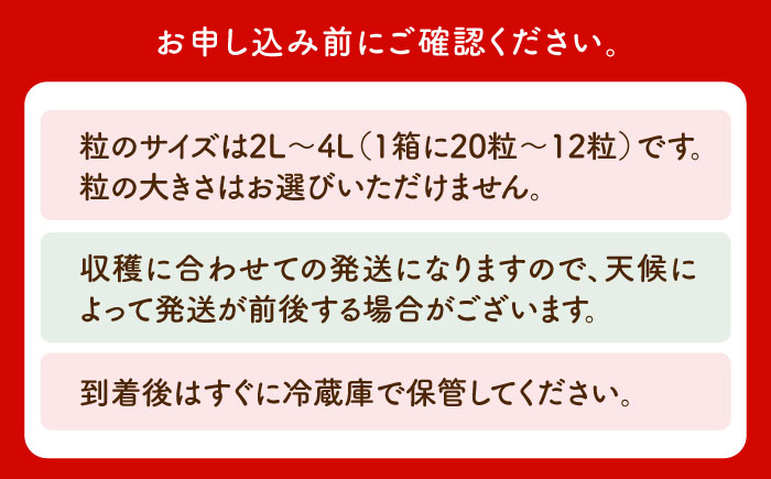 【1〜2月発送】王様のいちご いちごさん 400g【むらおか農園】[HAF013]