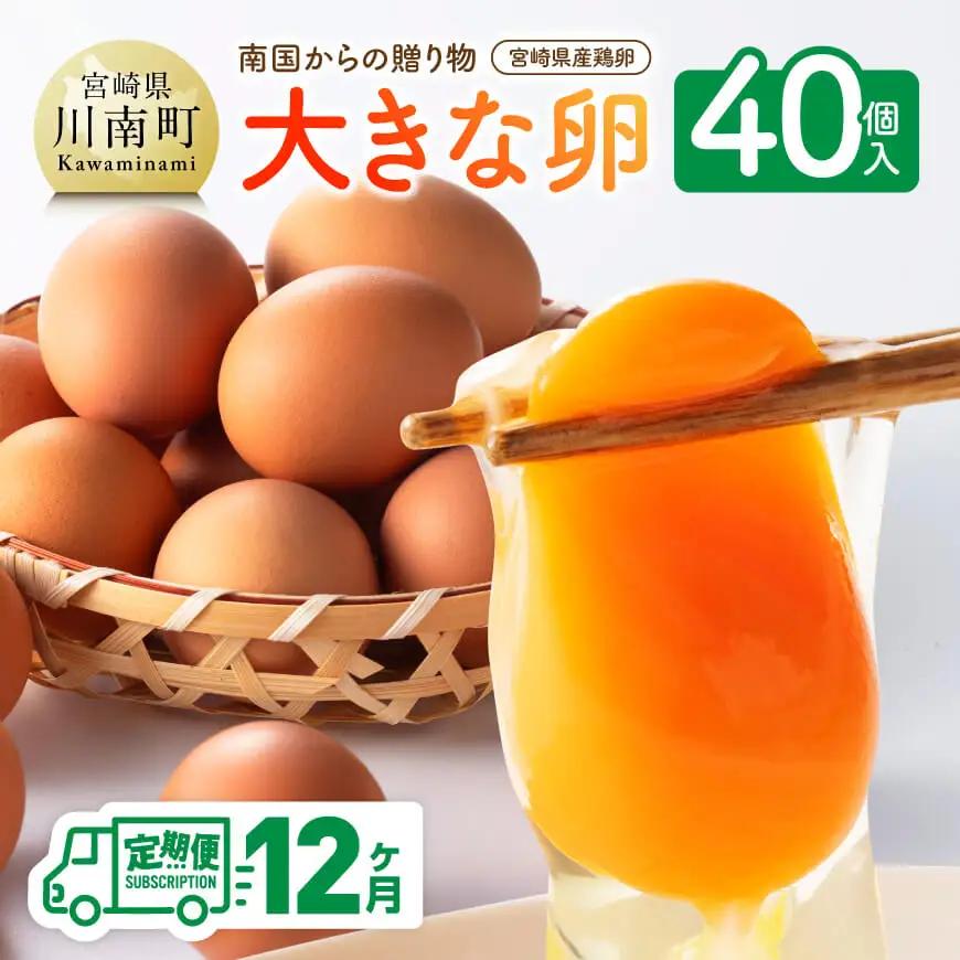 【12ヶ月定期便】宮崎県産鶏卵　「南国からの贈り物」大きな卵40個入り（35個+破損補償5個）【たまご 卵 玉子 タマゴ】