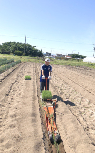 白ねぎ栽培は、種をまくことから。大事な作業に気合いが入ります