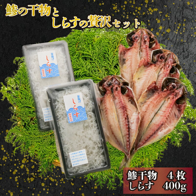 【ふるさと納税】 アジ 干物 4枚 釜揚げ しらす 200g × 2パック 計400g セット 海産物 魚介 贅沢 おつまみ 酒の肴 朝食 おかず 惣菜 簡単調理 保存食 贈り物 ギフト 詰め合わせ 真あじ 鰺 真鰺 健康 沼津市 静岡県