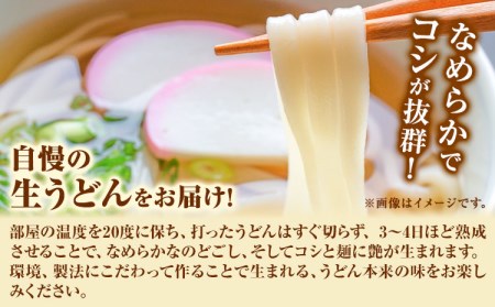 うどんよし野 冷凍 生うどん 14人前