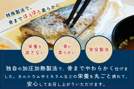 骨まで食べられるさかな 煮魚3袋セット（3種×各1袋）｜鳥取 岩美 魚 焼魚 煮魚 長期保存 【24055】
