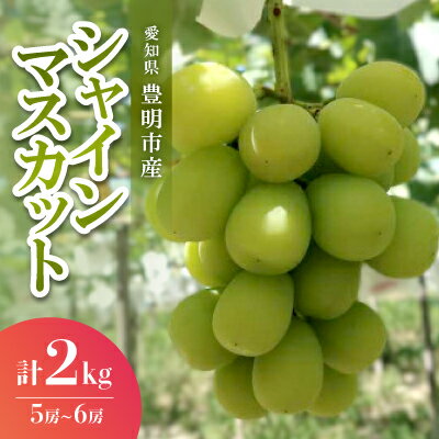 【ふるさと納税】シャインマスカット　2キロ(5房～6房)【配送不可地域：離島】【1393271】