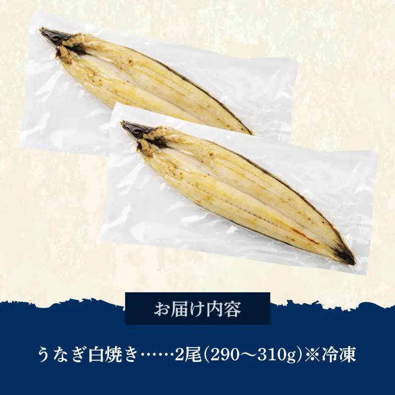 国産 うなぎ 白焼き（鹿児島県産） 2尾 (290〜310g) 【国産100％ 鰻 ウナギ 白焼 土用丑の日 丑の日 冷凍 魚介 海鮮 おかず お祝い ご褒美 贅沢 おすすめ 人気 花立山養鰻 福岡県