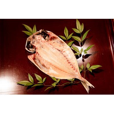 ふるさと納税 下田市 【下田市製造】特上真あじ干物 計12枚入り |  | 02