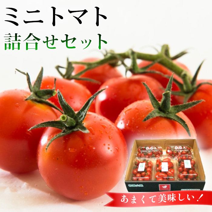 ミニトマト詰合せセット