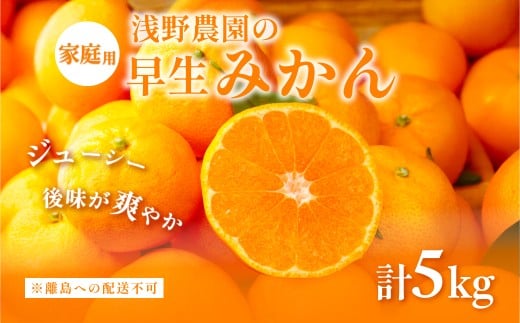 【先行予約】浅野農園の早生みかん 家庭用5kg ※着日指定不可 ※離島への配送不可（2025年11月上旬～11月中旬頃に順次発送予定） 【 ふるさと納税 人気 おすすめ ランキング みかん 柑橘 ミカン 蜜柑 mikan 果物 フルーツ オレンジ 家庭用 5kg 早生 愛媛県 伊方町 送料無料 】IKTAC002