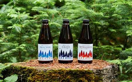 【6か月定期便】しもかわ森のブルワリーのクラフトビール定番6本セット（3種×2本） ピルスナー ペールエール ヴァイツェン F4G-0309