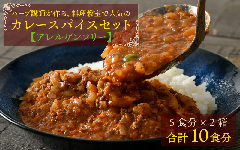 
【先行予約】【アレルゲンフリー】ハーブ講師が作る 教室で人気のカレースパイスセット （5食分 × 2箱）【2024年4月以降順次発送予定】 [A-13001]
