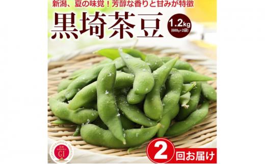 【2025年8月 2回お届け】くろさき茶豆1.2kg 2025年 先行予約 定期便 枝豆 野菜 つまみ おつまみ えだまめ エダマメ 新潟 定期 お楽しみ 2回