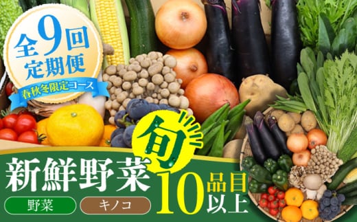 【春秋冬限定コース】野菜 キノコ 10品目以上 詰め合わせ 9回定期便 / 野菜定期便 やさい定期便 野菜セット きのこ セット 野菜詰め合わせ / 南島原市 / 吉岡青果 [SCZ026]