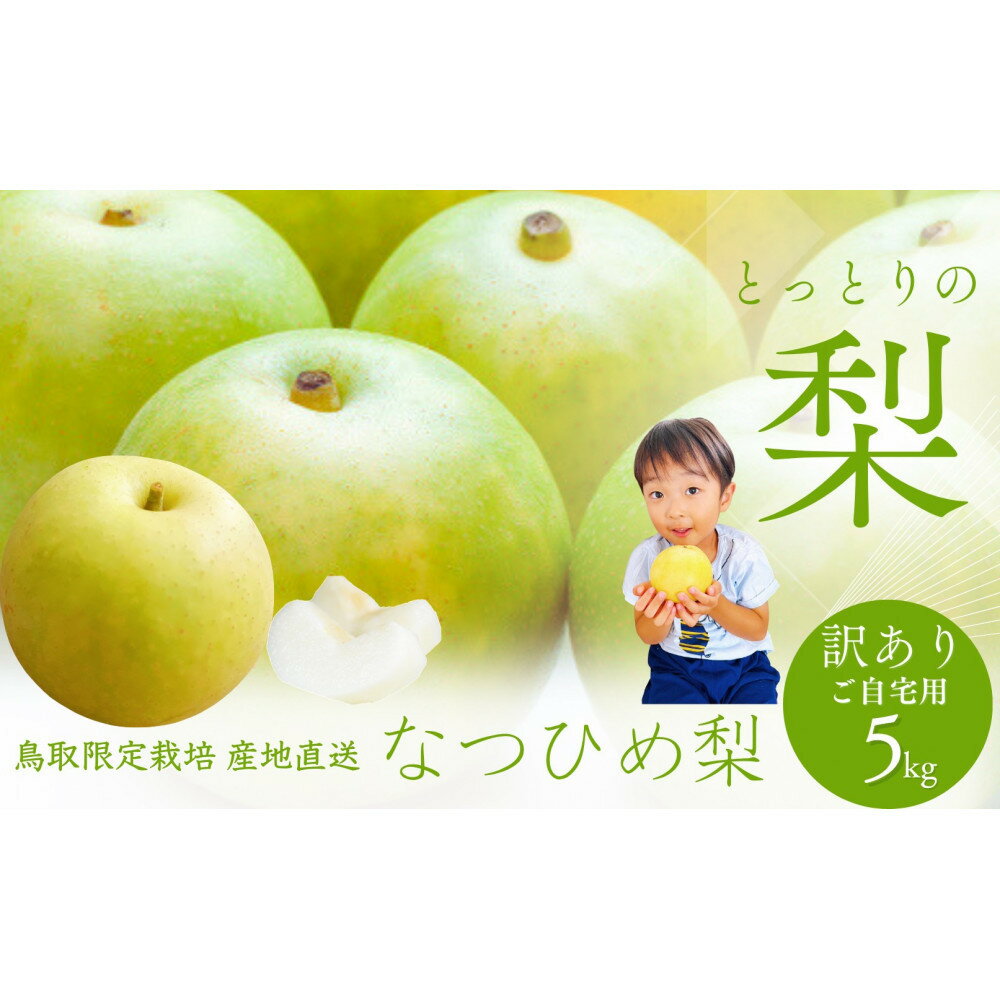 【ふるさと納税】鳥取県産 梨 訳あり ご自宅用 なつひめ 5kg
