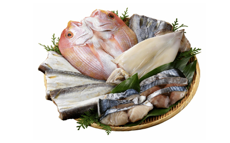 玄界灘の恵 干物8種盛りセット / 佐賀県 / 丸福水産 [41AOCS009]