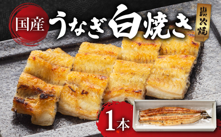 滋賀県産うなぎ 白焼き 135ｇ～以上 1尾 白焼き ayuki10