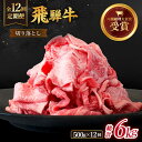 【ふるさと納税】【 12回 定期便 】【 飛騨牛 】切り落とし 総計 6kg ( 1回あたり ) 500g ( 250g × 2 ) 牛肉 国産 ブランド牛 和牛 多治見市/肉のひぐち [TDC012]