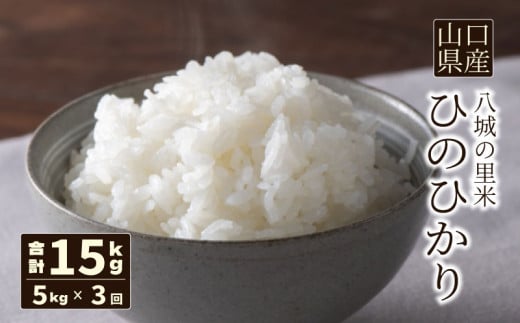 【先行予約】【定期便 3ヶ月】ひのひかり 精米 5kg 計15kg