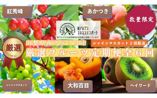 山梨県 南アルプス市産 厳選フルーツ定期便全6回 ALPEM001