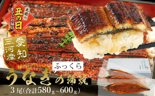 【土用の丑の日までにお届け】三河産うなぎ 蒲焼冷凍＜超特大＞3尾（合計580ｇ～600ｇ）「生産者愛知養魚」がお届け うなぎ 蒲焼き 鰻 ウナギ 国産うなぎ 愛知県 西尾市 大きいうなぎ 丑の日 土用の丑の日 A091-25