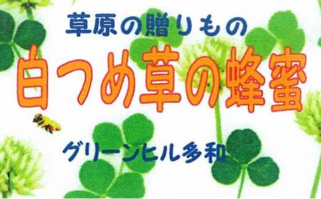 標茶産しろつめ草の蜂蜜 300g×2本）　|  蜂蜜