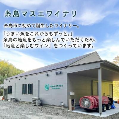 ふるさと納税 糸島市 【糸島マスエワイナリ】STILL白Koshu Muscut 2本 糸島市[AEP002] |  | 03