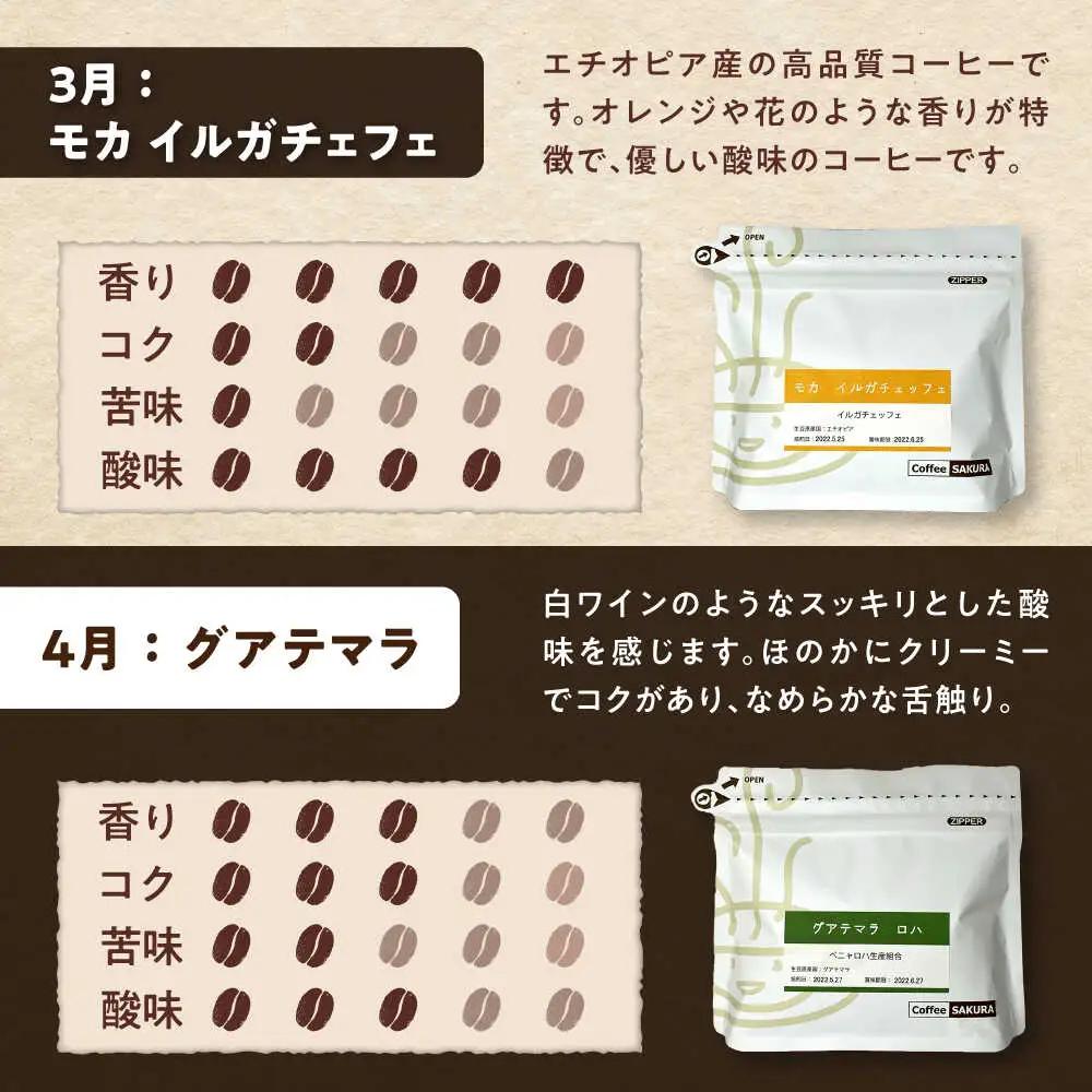 【全12回定期便】世界を旅するコーヒー(豆) / 珈琲 コーヒー / Coffee SAKURA[BBAB150]
