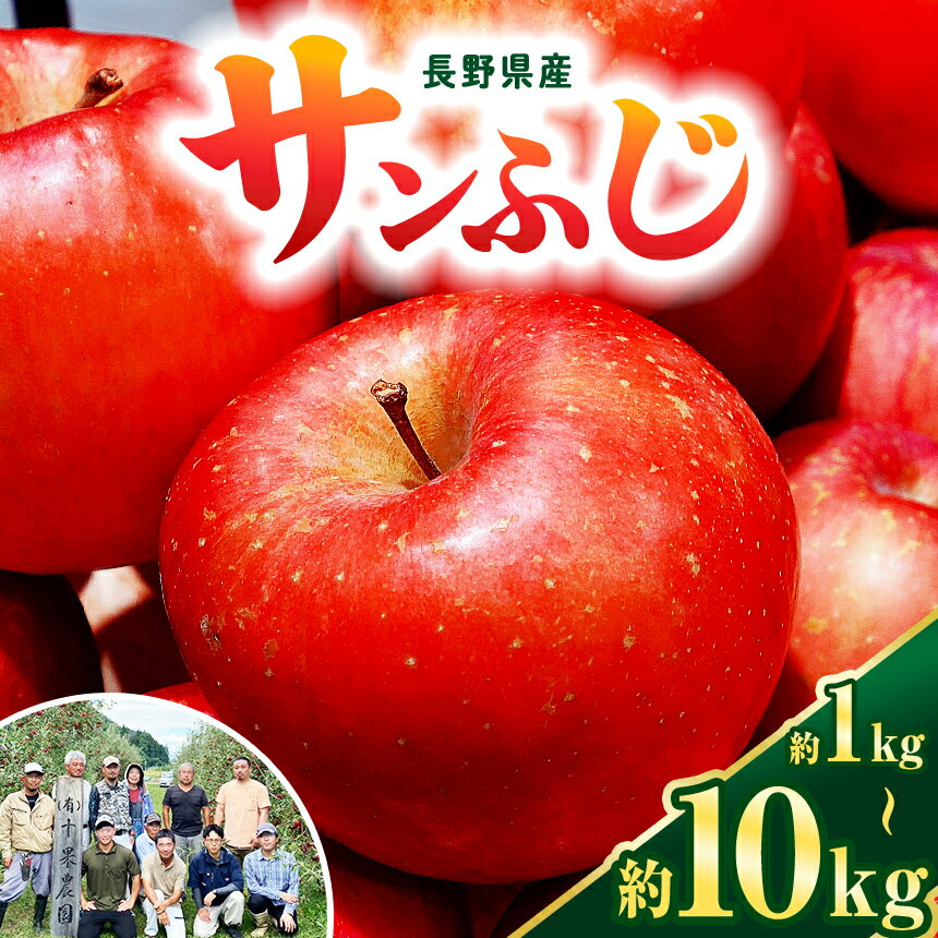 【ふるさと納税】11月下旬発送【選べる】サンふじ 1kg~10kg (3～50玉)| ふるさと納税 果物 くだもの フルーツ サンふじ リンゴ りんご 林檎 信州産 長野県 松本市