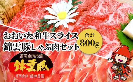 おおいた和牛・錦雲豚セット おおいた和牛スライス400g 錦雲豚しゃぶ肉 バラ・ロース各200ｇ 牛肉 和牛 豊後牛 すき焼き 赤身 しゃぶしゃぶ肉 大分県産 中津市 熨斗対応可