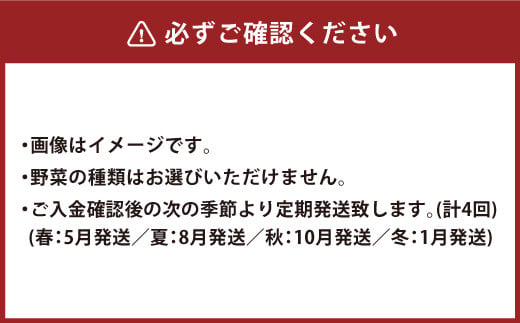 竹田市産！季節の『野菜箱』年4回 四季の定期便 1箱あたり:8~12種】