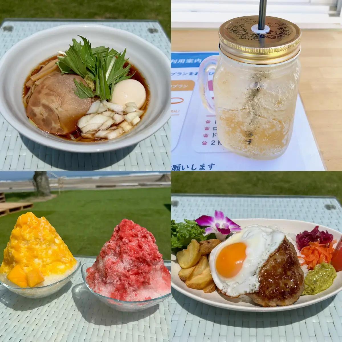 ASOBEACH 愛犬と過ごす海の家 VIP席半分貸切＋食べ飲み放題(最大8名) /ふるさと納税 チケット 旅行 ペット わんちゃん ドッグラン＆WAN アンドワン 犬 いぬ イヌ 海の家 九十九里 