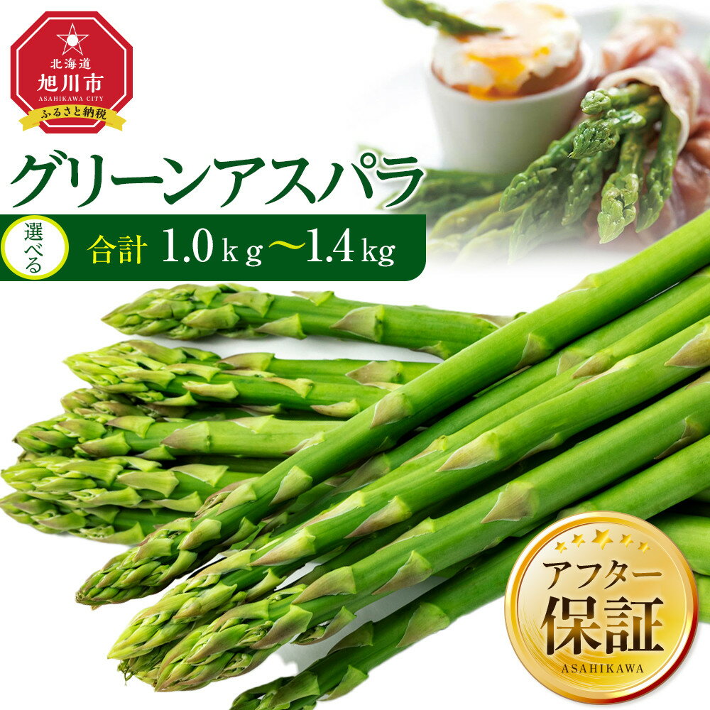 先行予約【便利な小分け袋入】グリーンアスパラ1.4kg（200g×7袋）(2024年5月中旬より順次発送予定) | 野菜 アスパラ グリーンアスパラ アスパラガス 小分け 保存 北海道産 旭川市 北海道ふるさと納税 北海道 送料無料