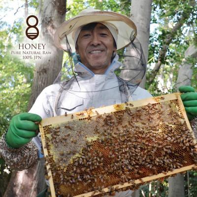 ふるさと納税 羽島市 珠玉の百花(はちみつ)180g |  | 02
