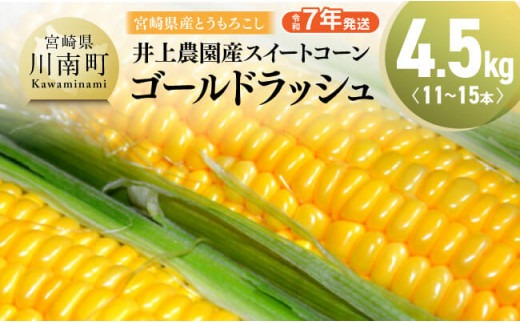 【令和7年発送】宮崎県産とうもろこし　井上農園産スイートコーン「ゴールドラッシュ」4.5kg 【 トウモロコシ スィートコーン 2025年発送 先行予約 数量限定 期間限定 】 [D03901]