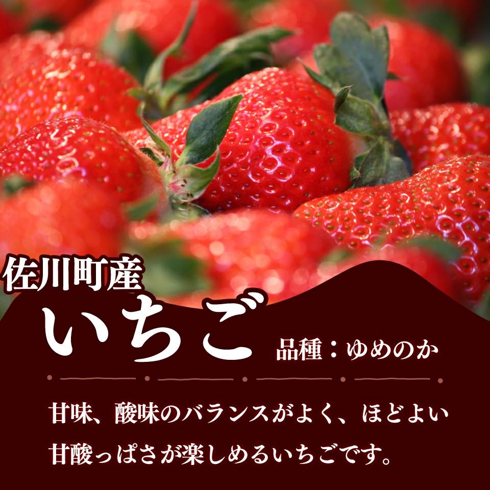 ＜佐川のフルーツ・野菜 定期便（全５回）＞　いちご 苺 冷凍ブルーベリー フルーツトマト 梨