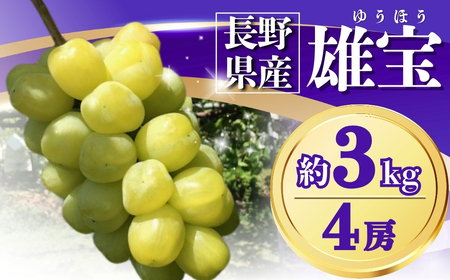 【2026年先行予約】ぶどう 雄宝(ゆうほう) 約3kg(4房)｜ ぶどう ぶどう